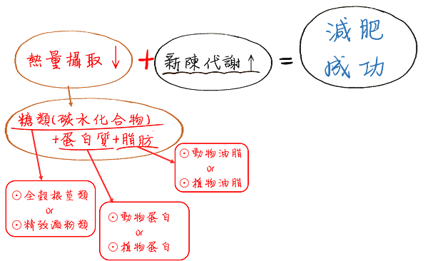 減重流程-運動