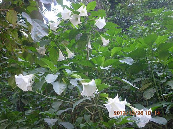 IMG_2088 IMG_2088