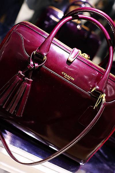 coach-fall-2013-bags-17.jpg