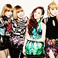 2535859-2NE1-portraits-617-409.jpg