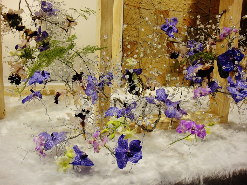 DSC09666 DSC09666