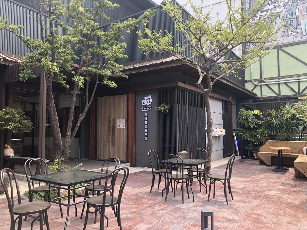 ［台中西區］喵迷主題餐廳 | 品種貓認養空間～療癒品種貓咪空