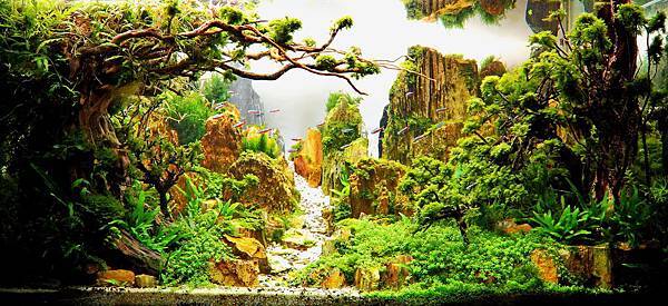 2016 IAPLC 比賽照片.jpg