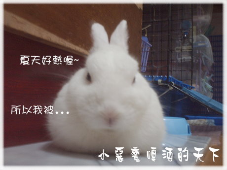 001.jpg 001.jpg