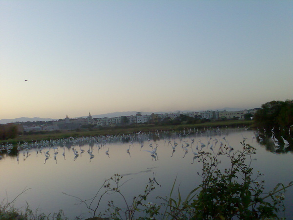 影像042.jpg