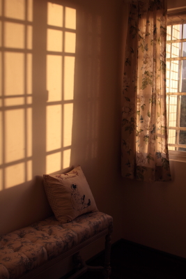 DPP_3569.JPG DPP_3569.JPG