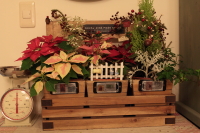 DPP_3580.JPG DPP_3580.JPG