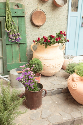 DPP_3185.JPG DPP_3185.JPG