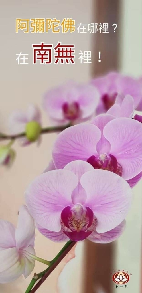 歸命.jpg 歸命.jpg