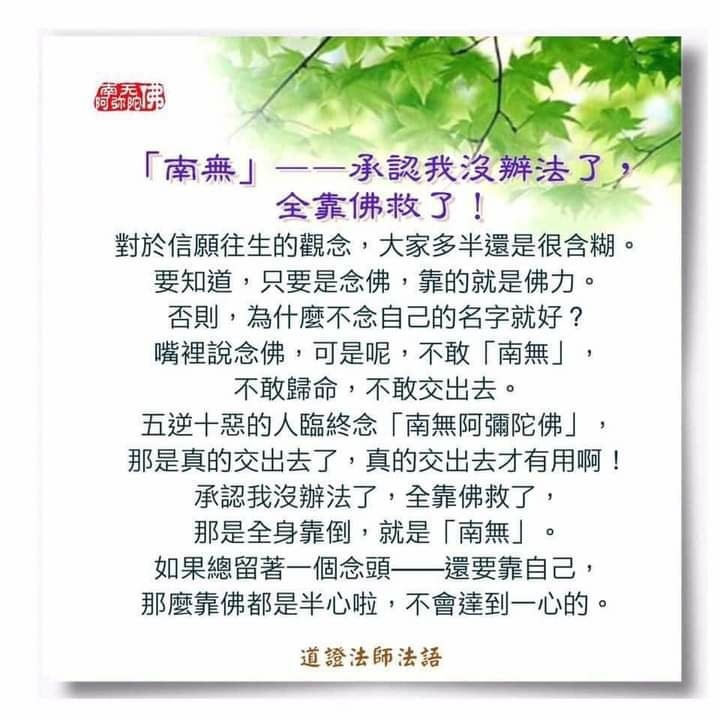 歸命2.jpg 歸命2.jpg