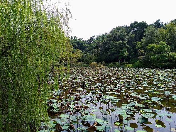 江南渡假村