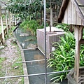 6.農場一角.jpg
