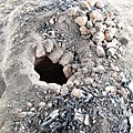 8.已經是半成品的窯.jpg