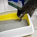 20211004-DSC09237.jpg