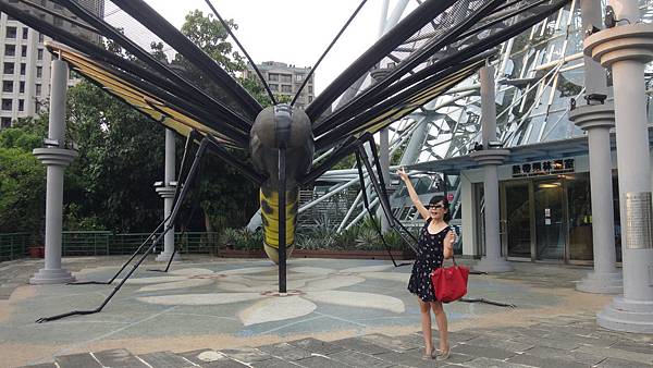 比六本木那隻蜘蛛小一點點而已! 比六本木那隻蜘蛛小一點點而已!