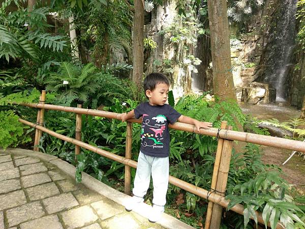 10-16 (8-1) 10-16 (8-1)