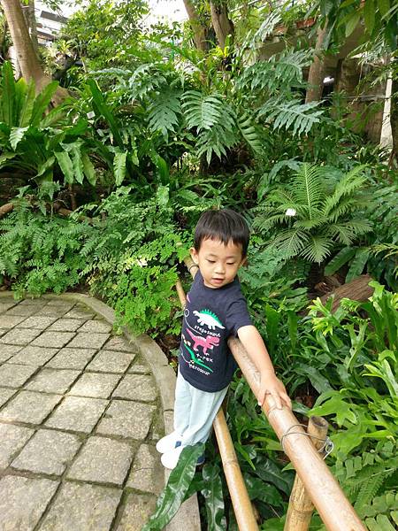 10-16 (8-3) 10-16 (8-3)