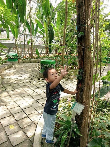 10-16 (10) 10-16 (10)