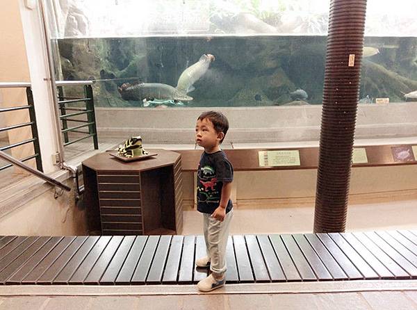 10-16 (15) 10-16 (15)