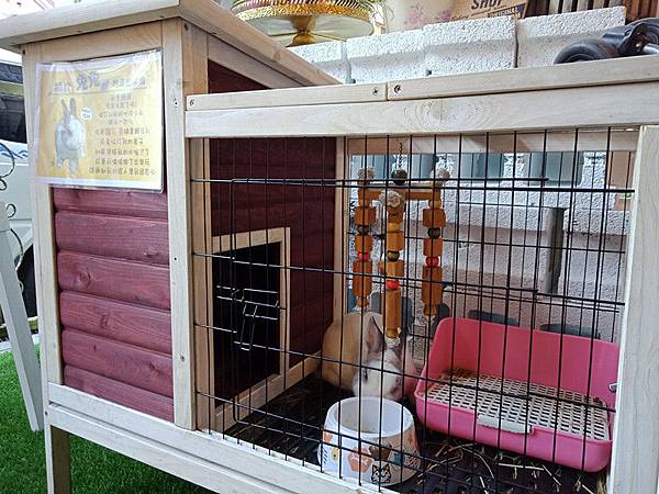 12-21 內湖聖誕趴(6).jpg