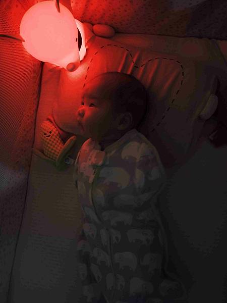 a (19).jpg a (19).jpg