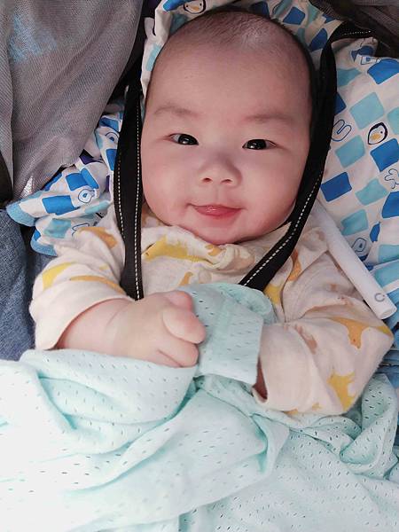 a (53-1).jpg a (53-1).jpg