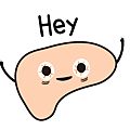 liver-10.png