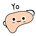 liver-11.png
