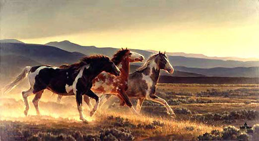 wild horse.jpg wild horse.jpg