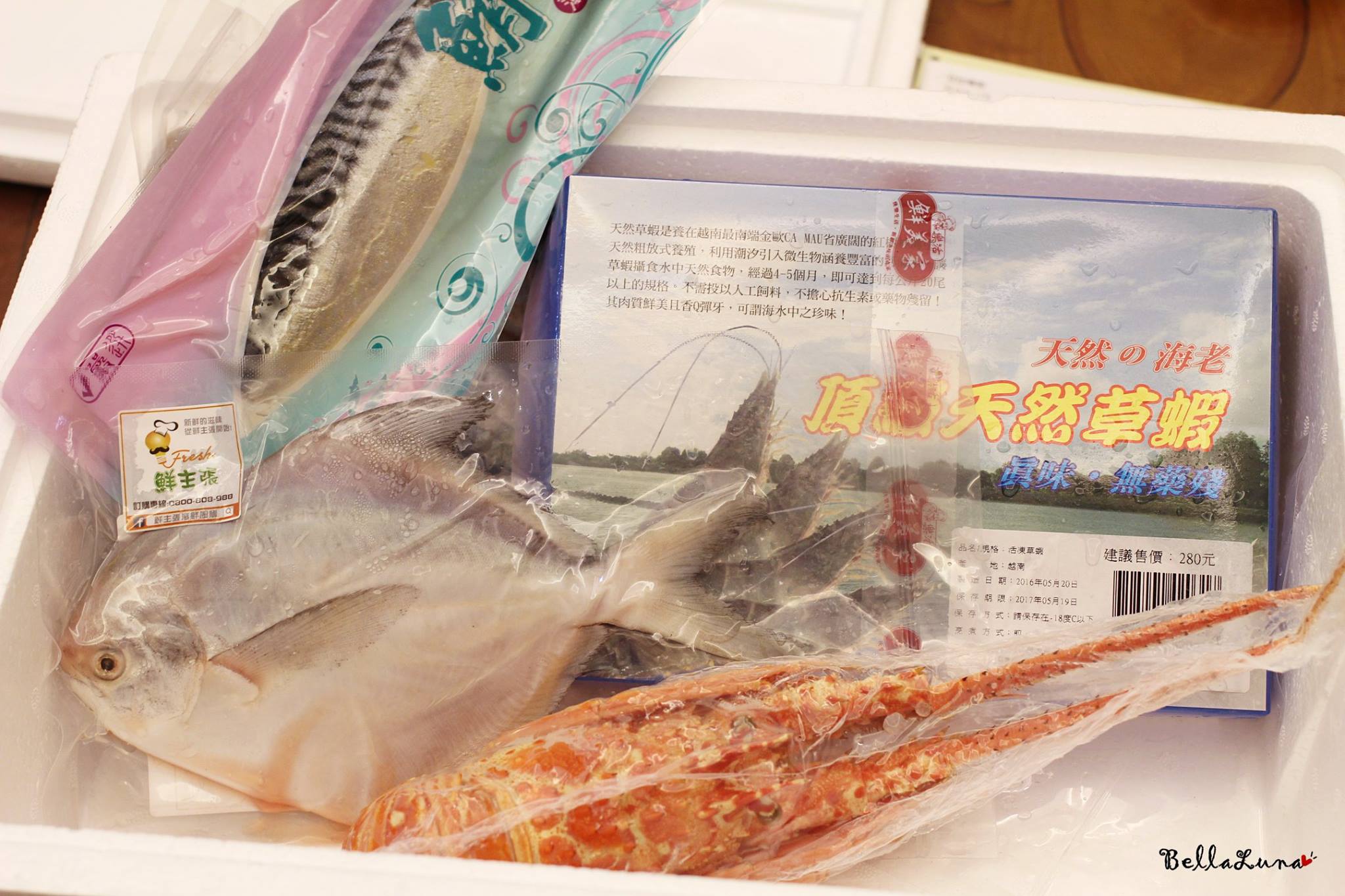 鮮主張2.jpg 鮮主張2.jpg