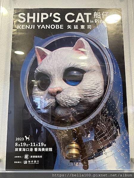 來看海美術館找日本來的船貓展SHIPʼS CAT