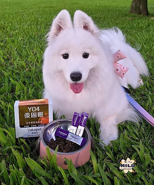[萌寵日記]MILU開箱 毛爸媽必收！日本優固倍Yakupe