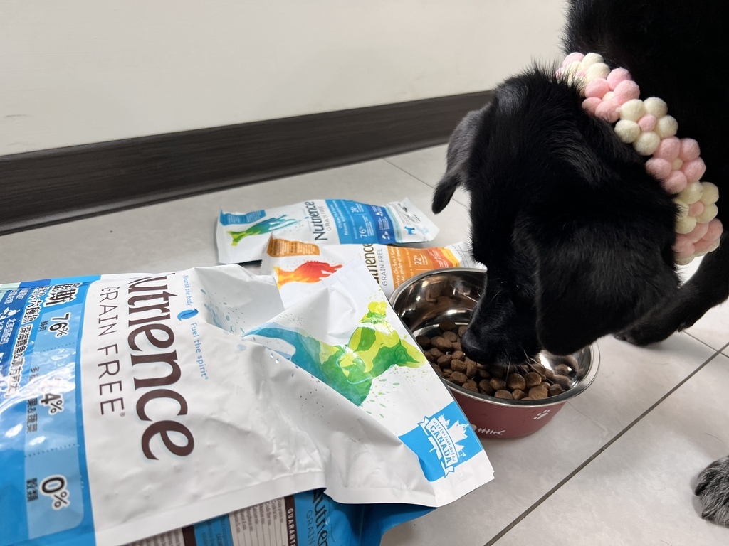 [寵物] Nutrience紐崔斯無穀養生飼料評價 八犬寵物