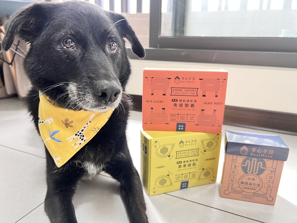 [寵物] 手心手貝Bestmate 狗狗腸道益生菌&機能凍乾