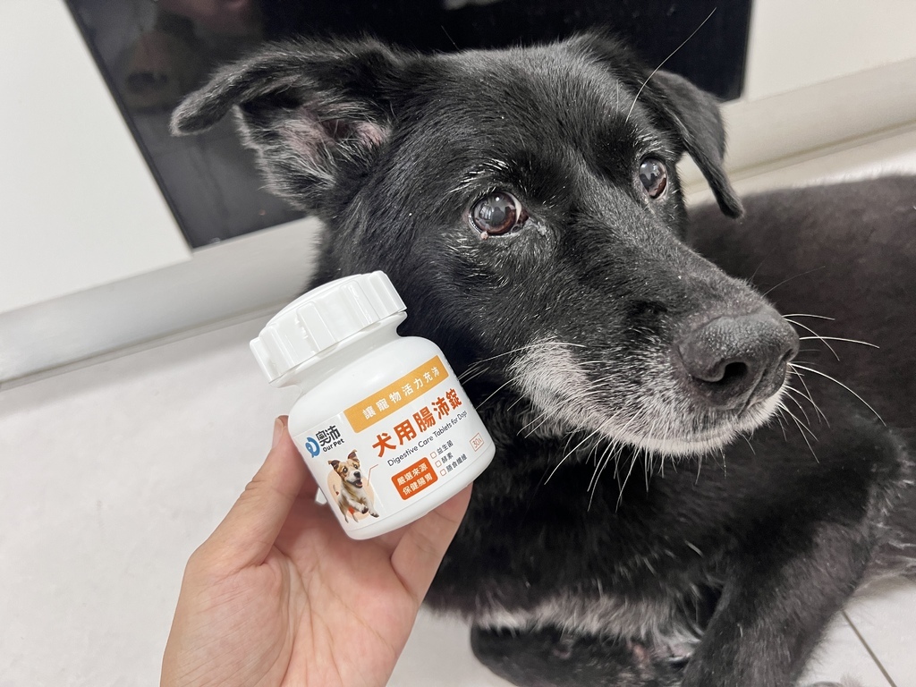[寵物] 奧沛OurPet犬用腸沛錠 狗腸胃保健食品 Ang