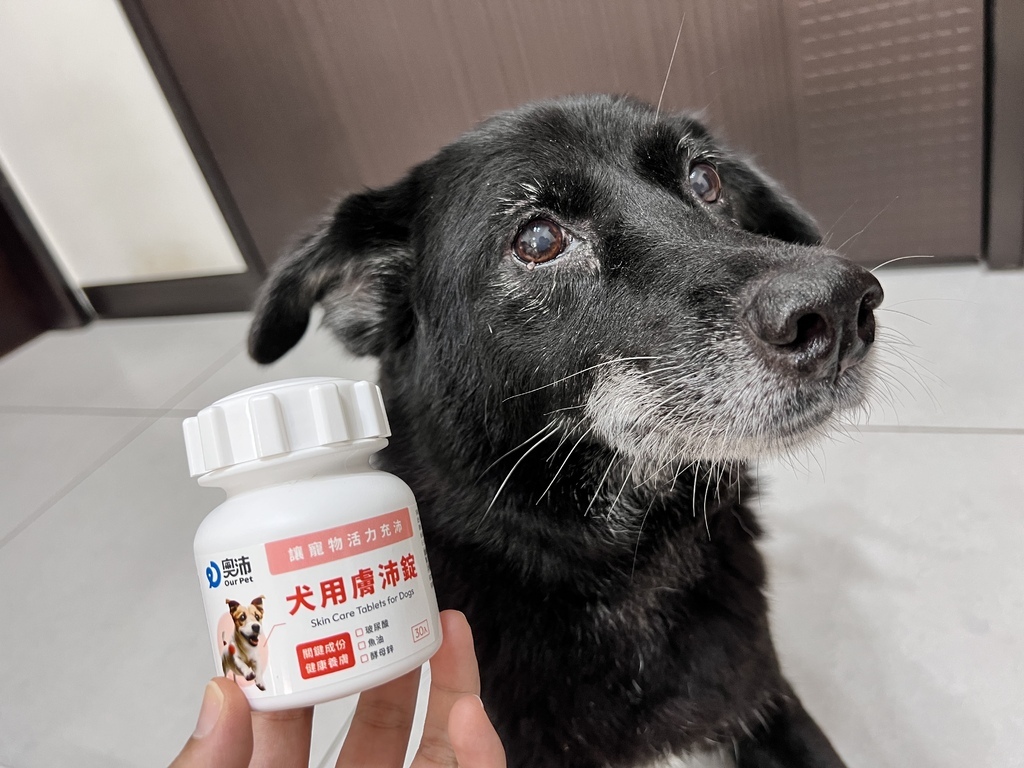 [寵物] 奧沛OurPet 犬用膚沛錠 敏感肌狗狗皮膚救星 
