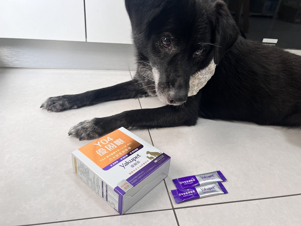 [寵物] 2025狗保健食品推薦 優固倍 Y04 優固眼｜日