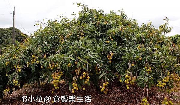 FB_IMG_1590310626563-1