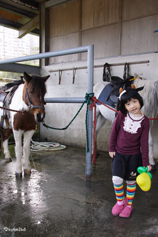 肥前屋牧場騎馬初體驗