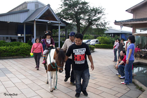 肥前屋牧場騎馬初體驗