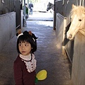 肥前屋牧場騎馬初體驗