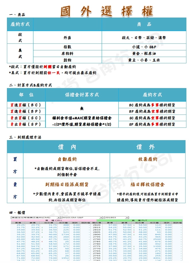 海外選擇權簡介