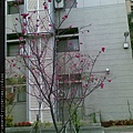 20120329(292)