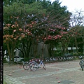 20120329(309)