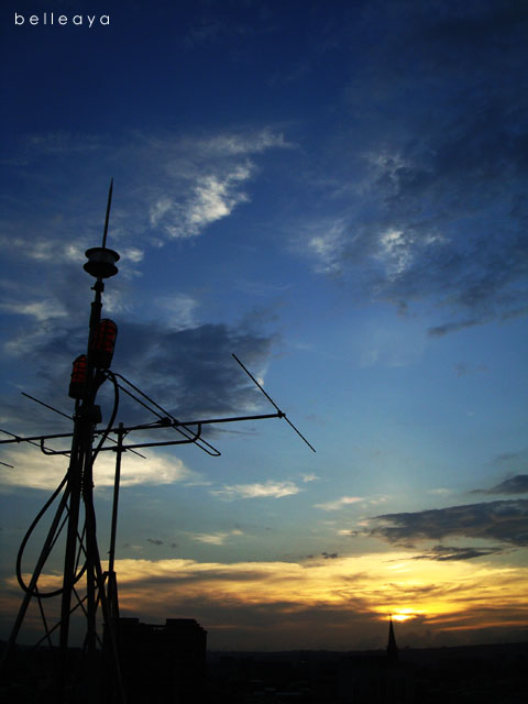 20120826 20120826
