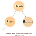 Social Cognitive_ Triadic Reciprocality