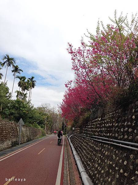 [台中] 東豐鐵馬道