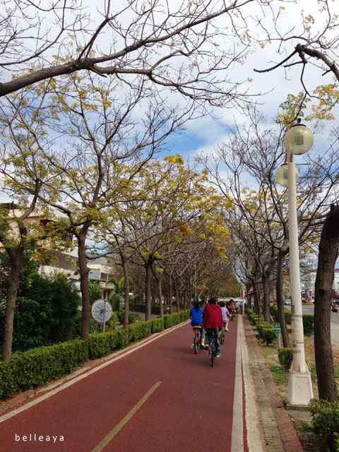 [台中] 東豐鐵馬道