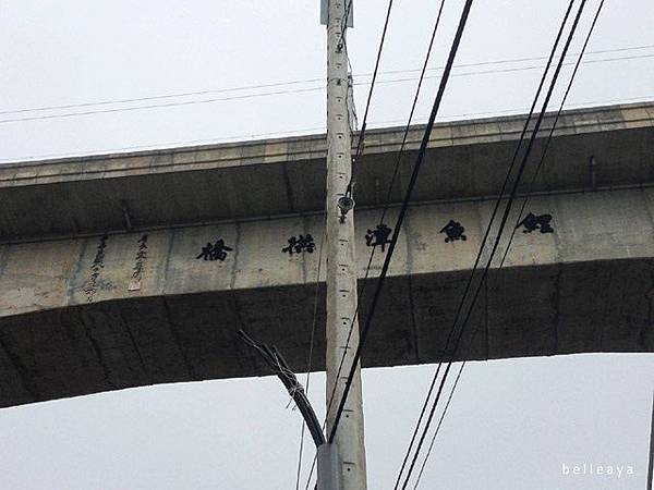 2014.2.14 騎車北上 鯉魚潭拱橋