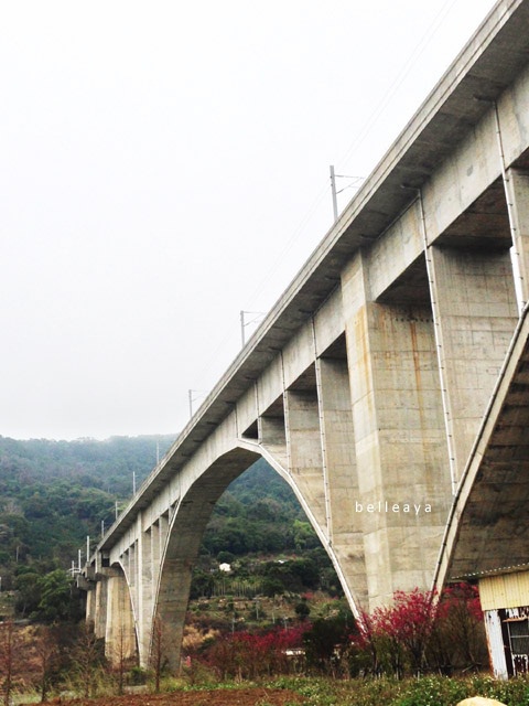 2014.2.14 騎車北上 鯉魚潭拱橋